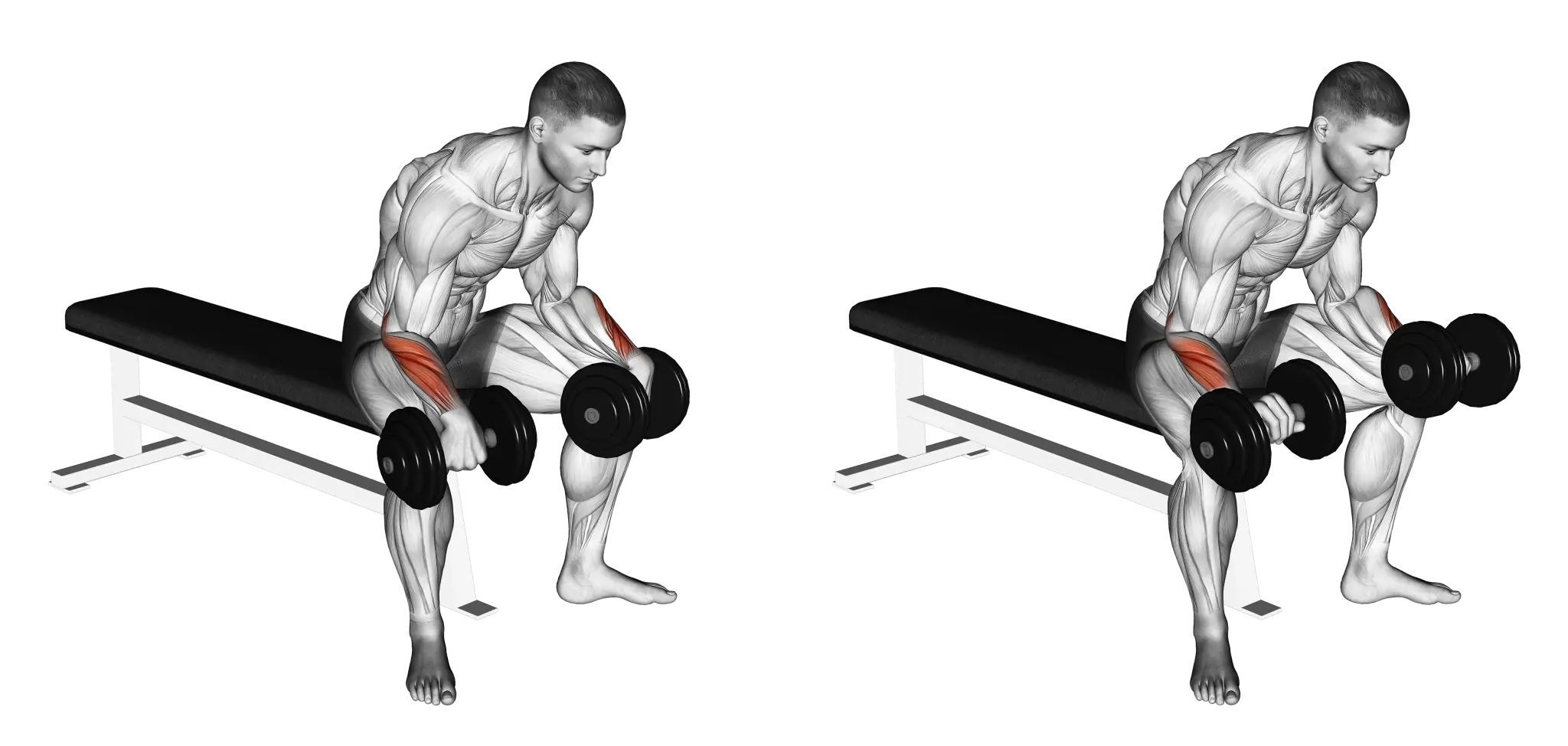 Dumbbell Reverse Wrist Curl