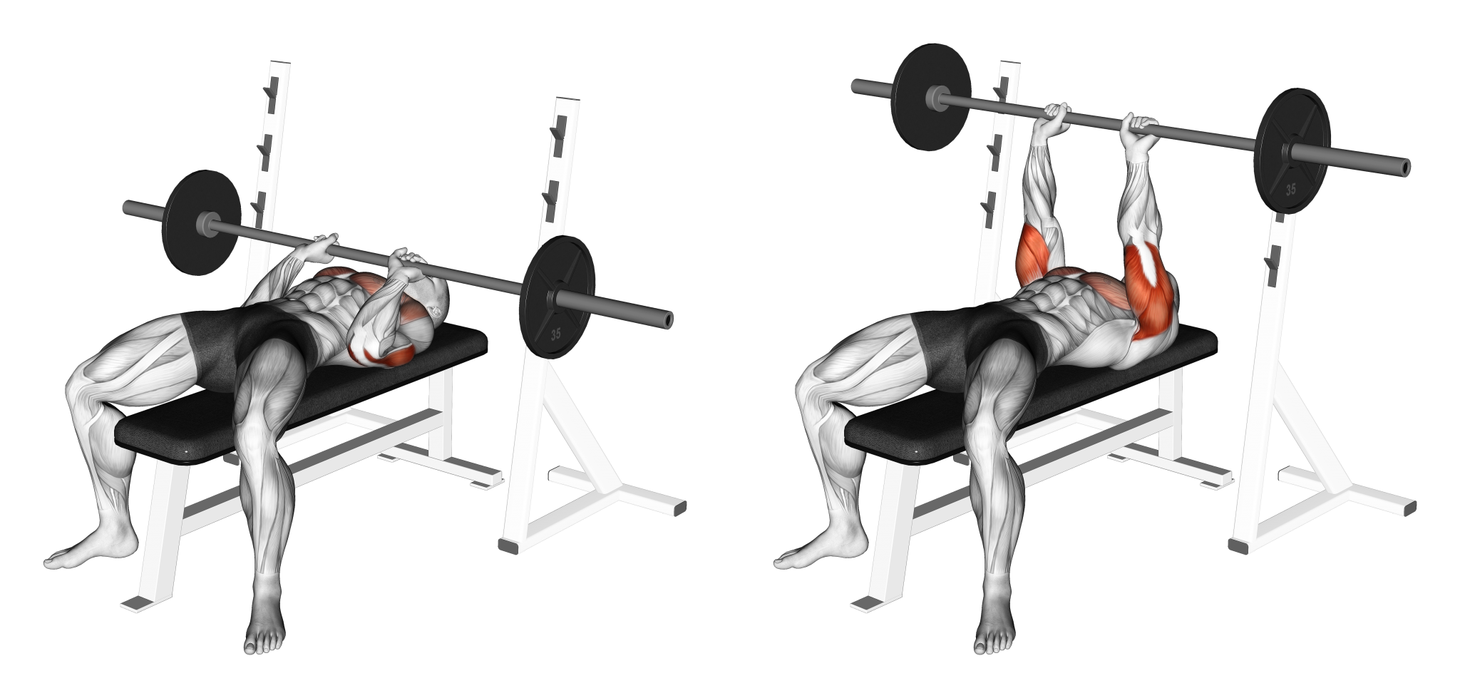 Close Grip Bench Press
